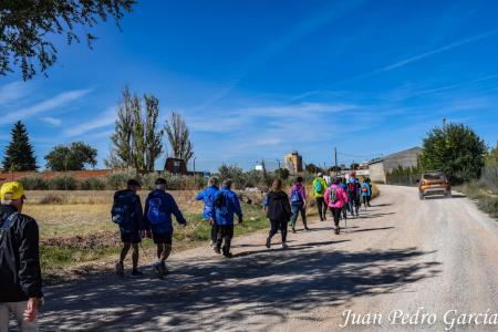 Regreso de la ruta hacia La Solana